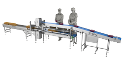 Packing Conveyor Systems