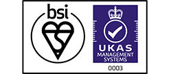 BSI Membership logo