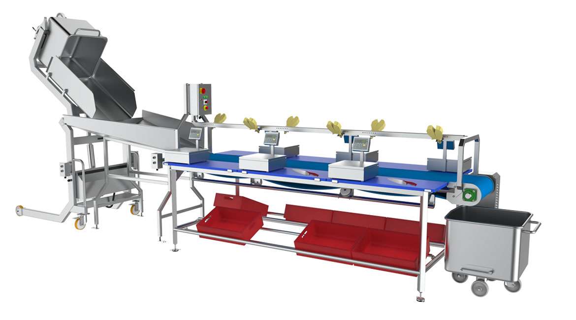 boning line conveyor