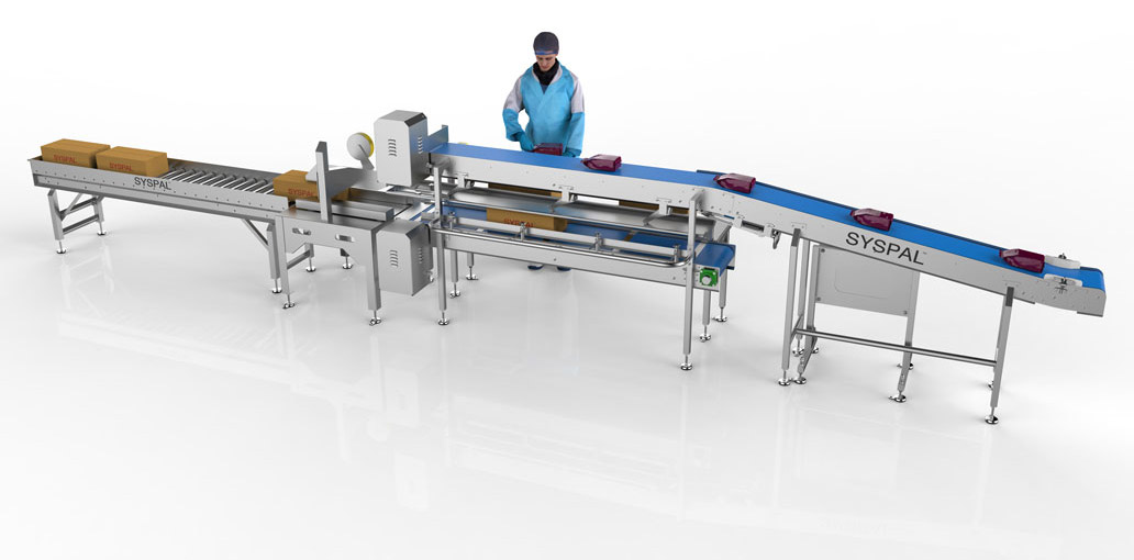 Food Grade Conveyor Systems  Technical Packaging Systems